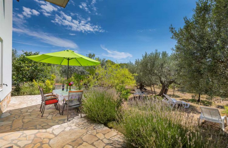 AMALIA Two-Bedroom Apartment with Terrace 2 (Green Olives)